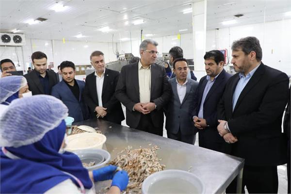 بازدید معاون وزیر تعاون کار و رفاه اجتماعی از شرکت تعاونی پروتئینی ۱۷۷ آبادان جنوب ایثارگران